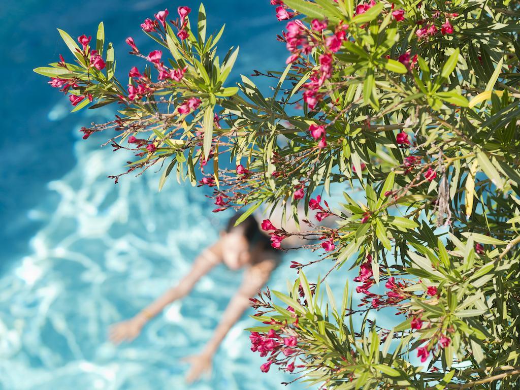 Le Val Duchesse Hotel&Appartements Cagnes-sur-Mer Exteriér fotografie